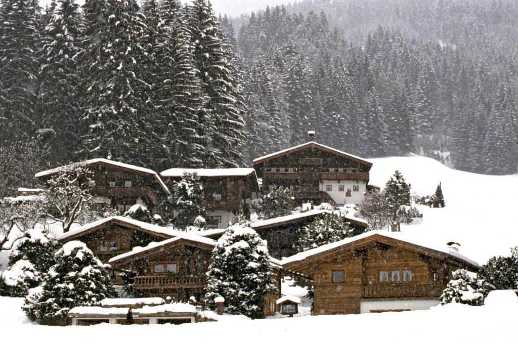 Ferienhaeuser Reither Almen Reith im Alpbachtal Pokój zdjęcie