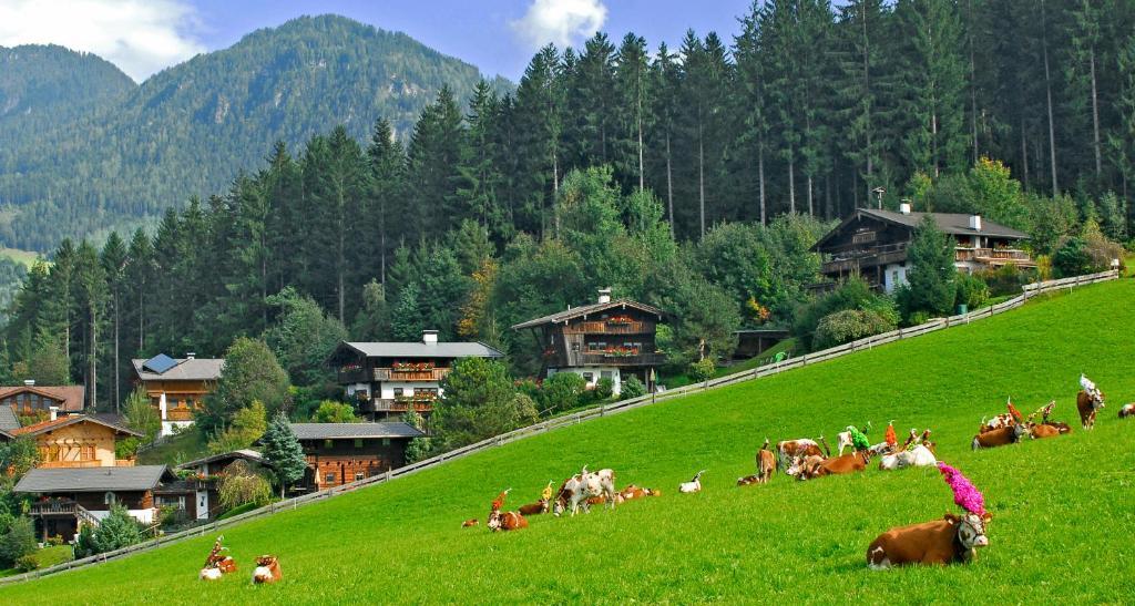 Ferienhaeuser Reither Almen Reith im Alpbachtal Pokój zdjęcie